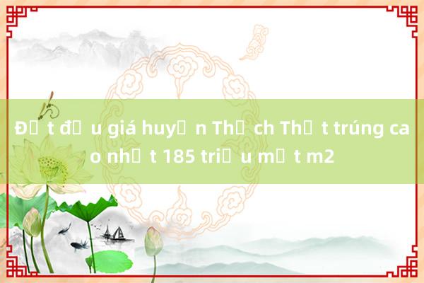 Đất đấu giá huyện Thạch Thất trúng cao nhất 185 triệu một m2