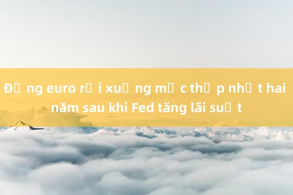 Đồng euro rơi xuống mức thấp nhất hai năm sau khi Fed tăng lãi suất