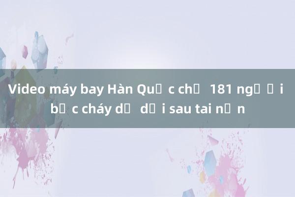 Video máy bay Hàn Quốc chở 181 người bốc cháy dữ dội sau tai nạn